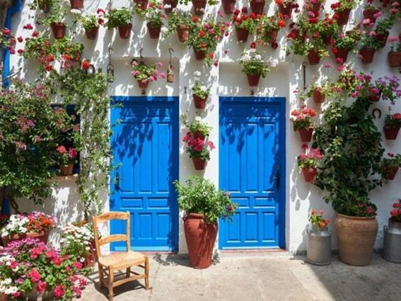 Premium! Jardines De Orive 2 Apartamento *